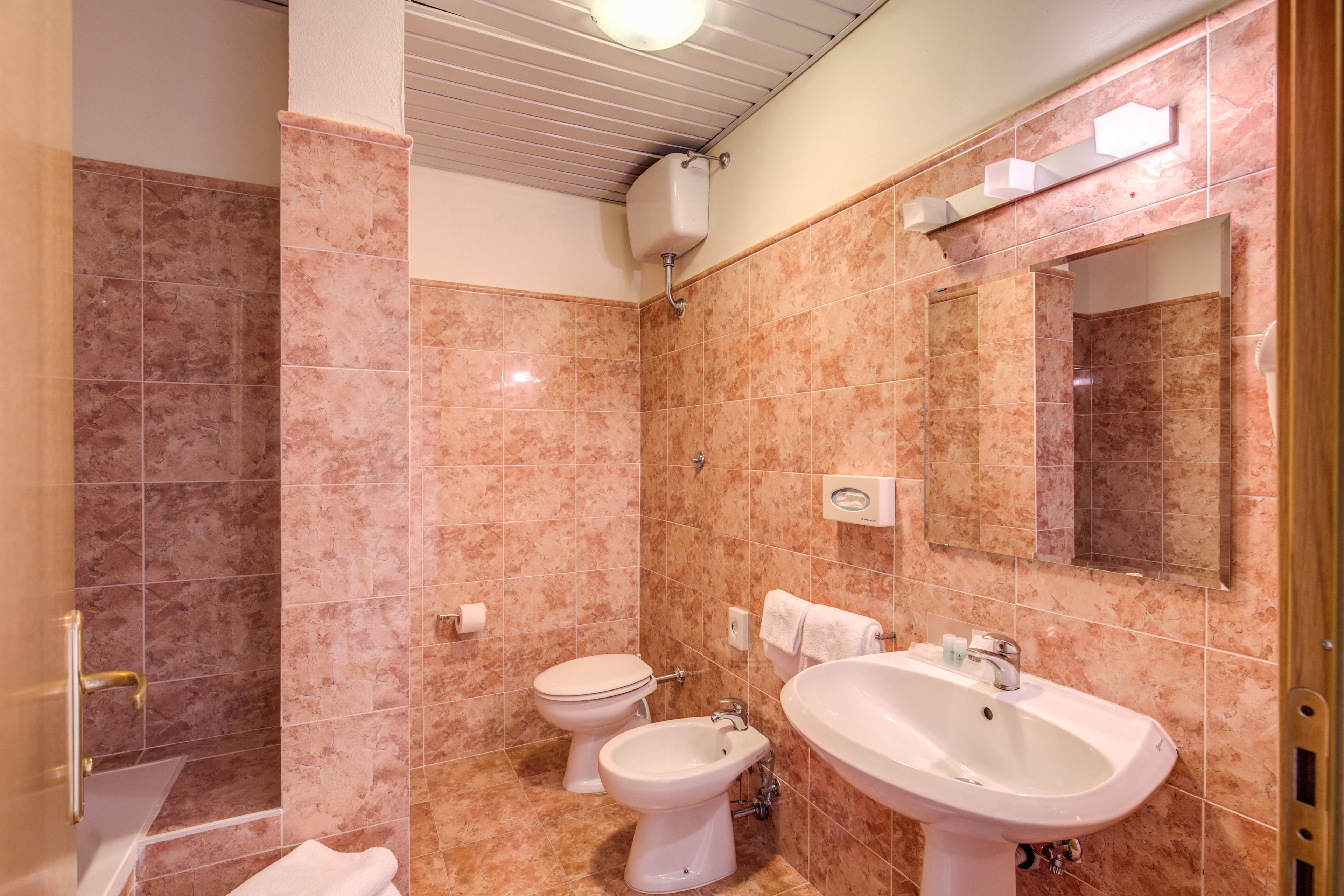A bathroom with a shower, toilet, bidet, and sink.