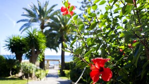 A pathway leading to a beach with palm trees and red flowers. - Globales Gardenia (Fuengirola)