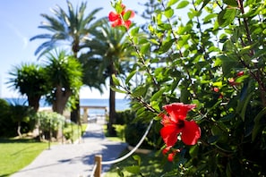 A pathway leading to a beach with palm trees and red flowers. - Globales Gardenia (Fuengirola)