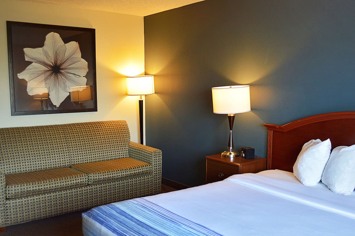 Business Room, 1 King Bed, Non Smoking | Desk, blackout drapes, iron/ironing board, free cribs/infant beds