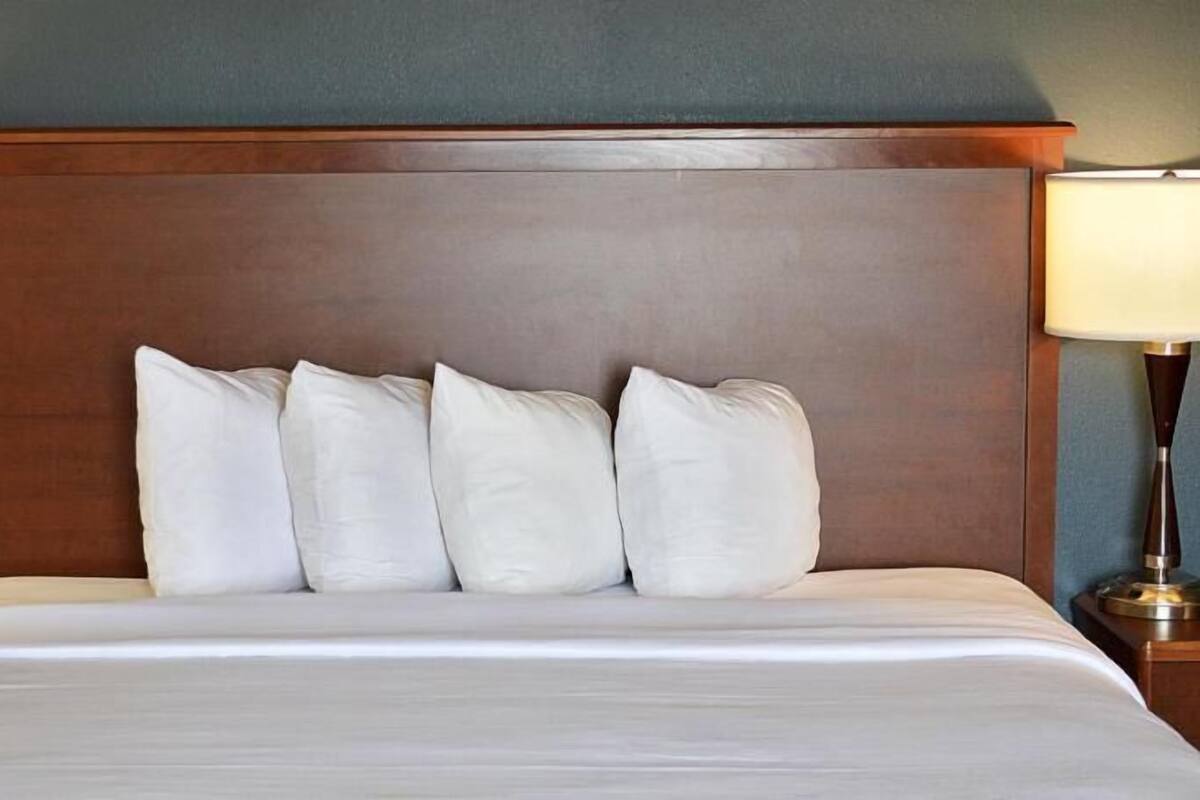 Desk, blackout drapes, iron/ironing board, free cribs/infant beds