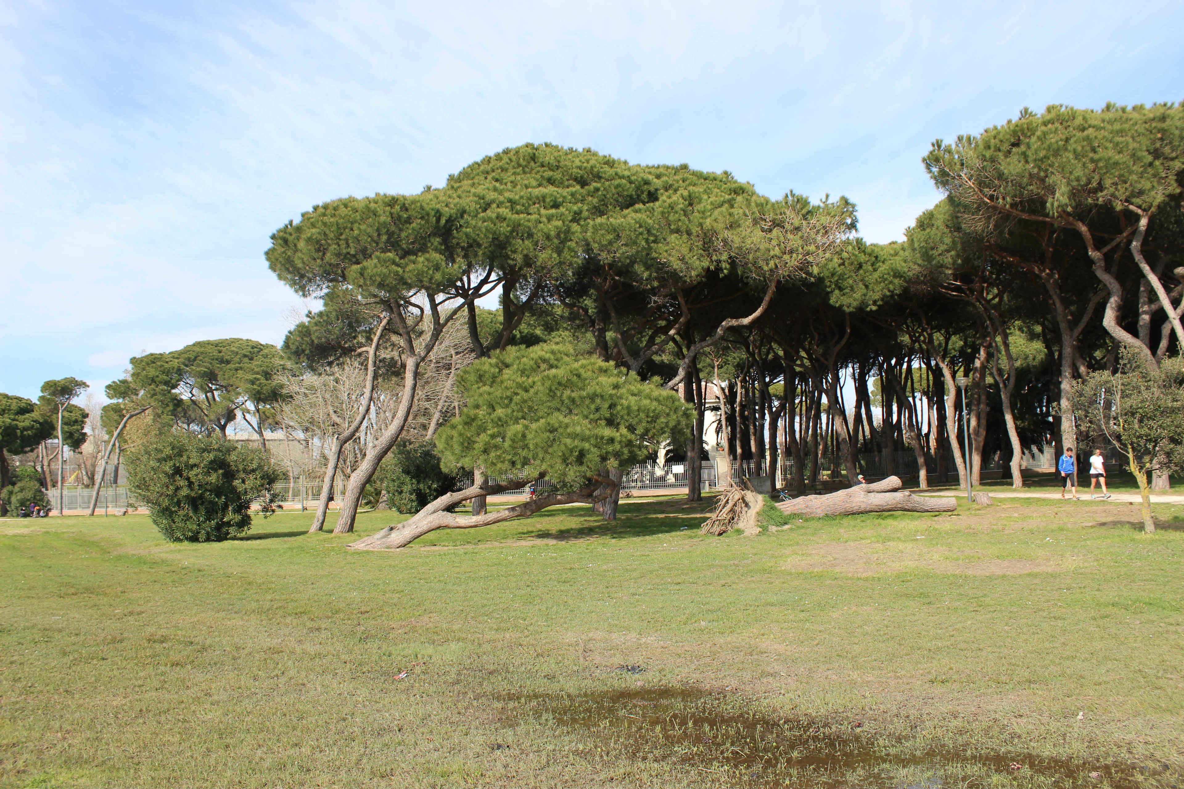 Foto - Hotel Riviera Fiumicino