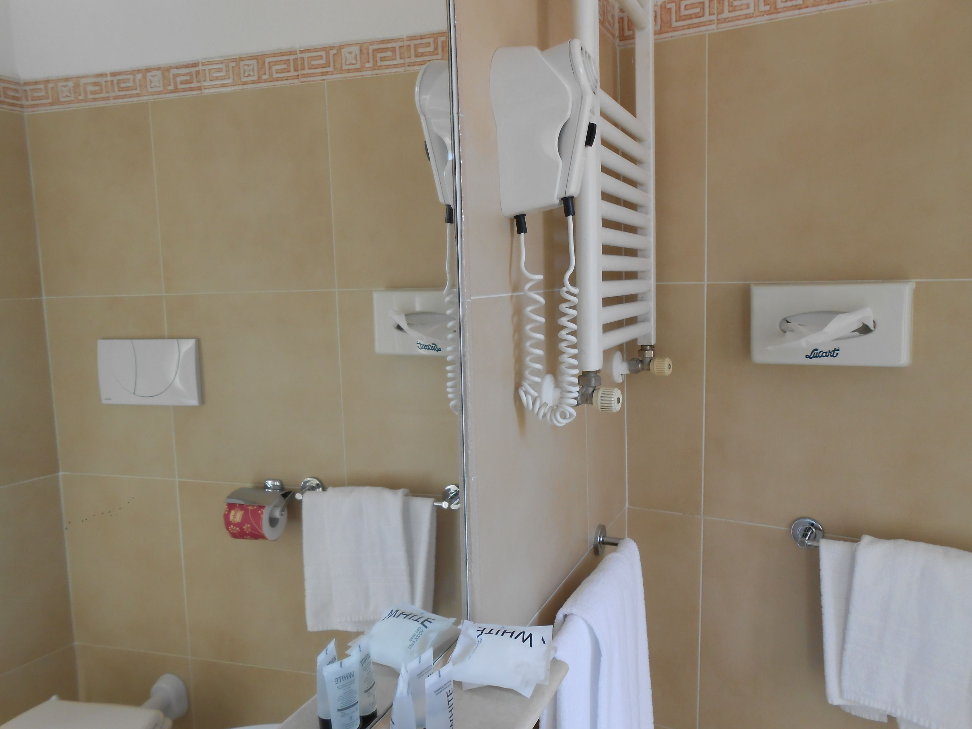 Une salle de bain avec une douche, un porte-serviettes et des toilettes.