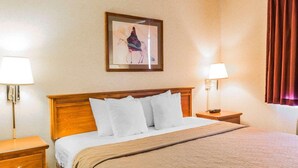 Unclassified image, 5 of 35, button - Quality Inn and Suites Montrose-black Canyon Area (Montrose)