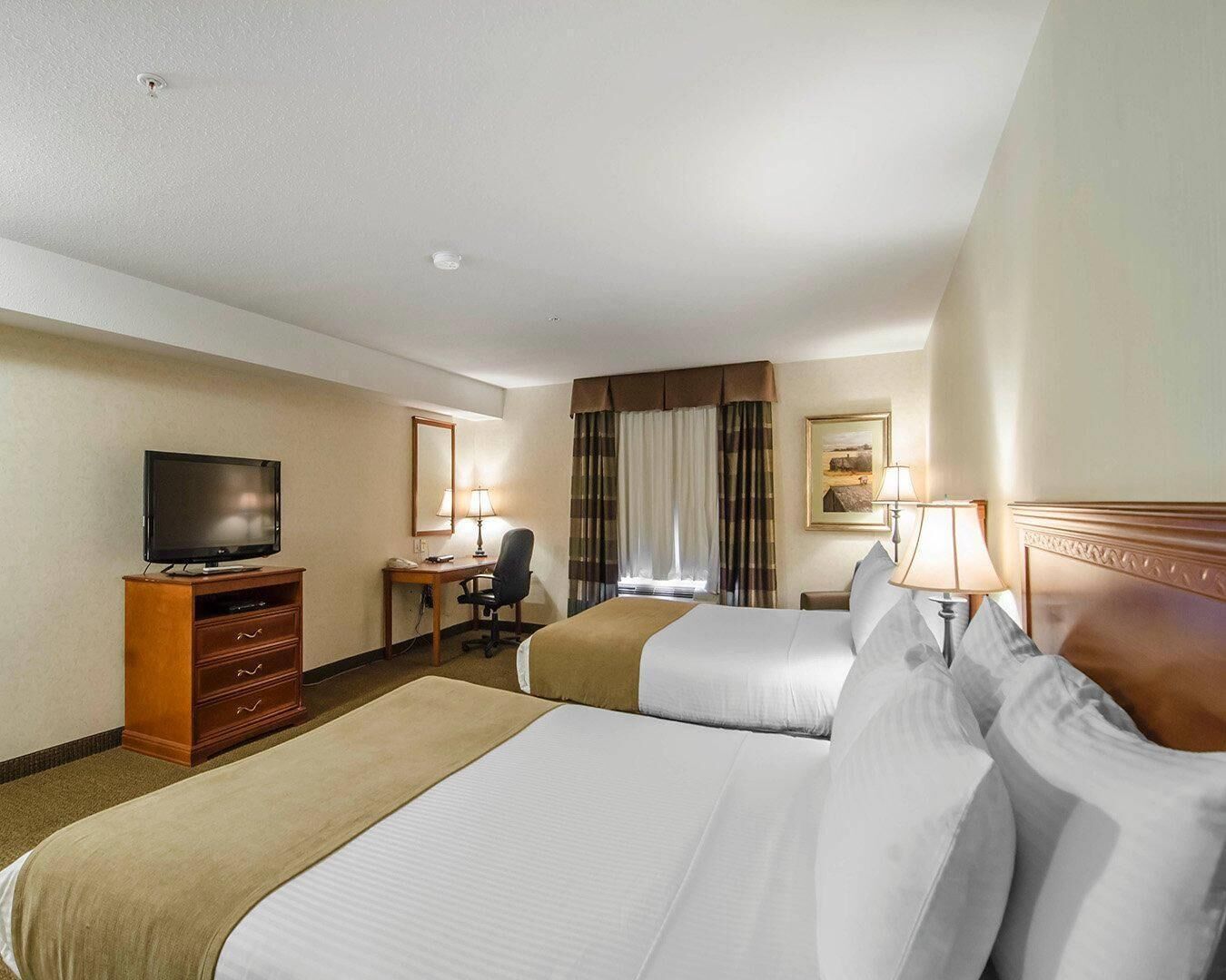 Premium bedding, in-room safe, desk, blackout curtains