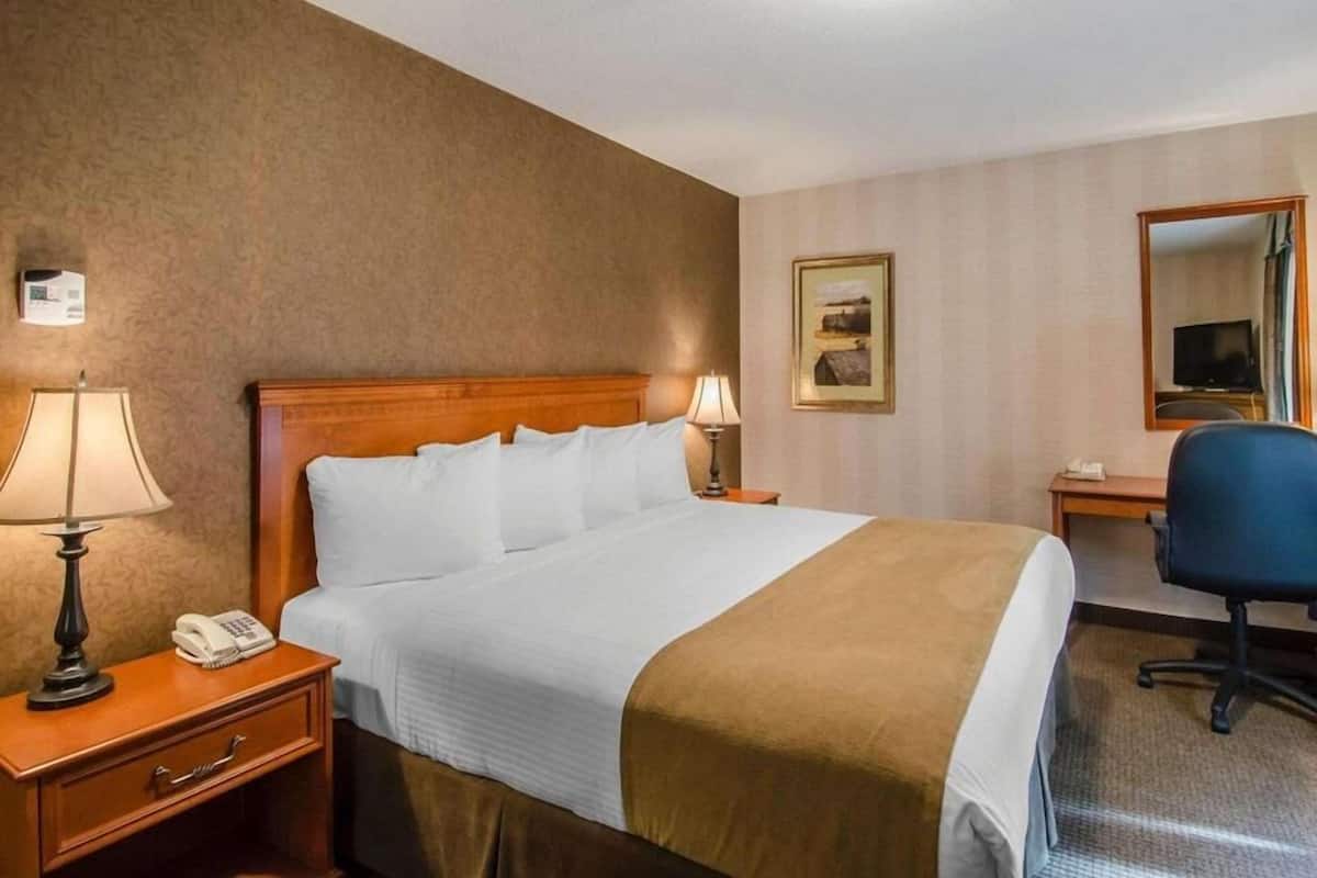 Premium bedding, in-room safe, desk, blackout drapes