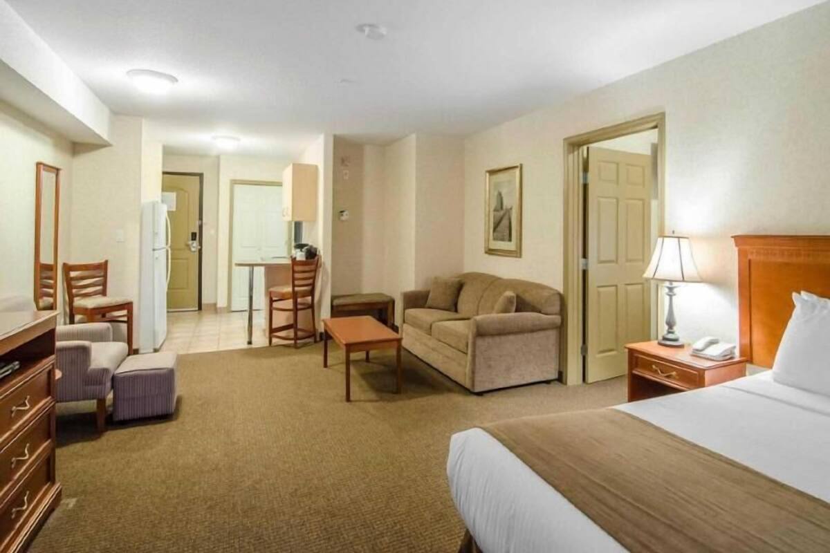 A hotel room with a bed, a sofa, a desk, a chair, a dresser, and a lamp.