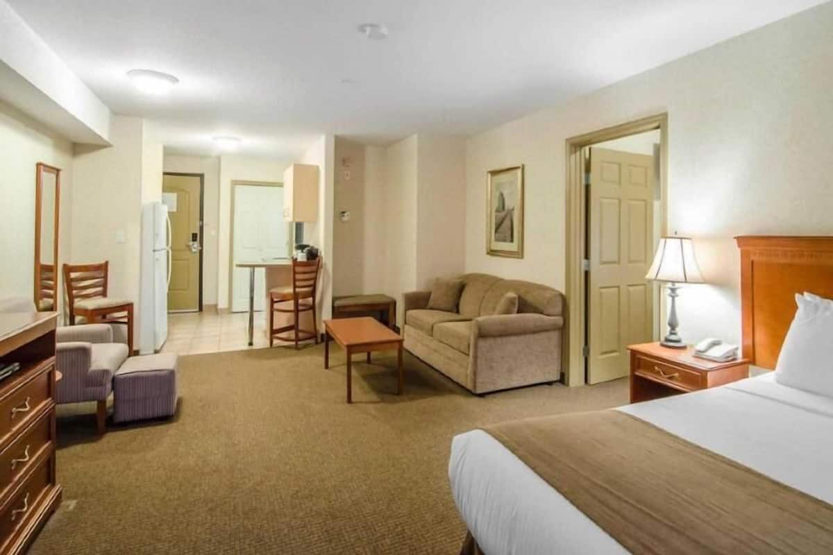 Premium bedding, in-room safe, desk, blackout drapes