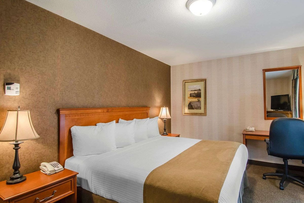 Premium bedding, in-room safe, desk, blackout drapes