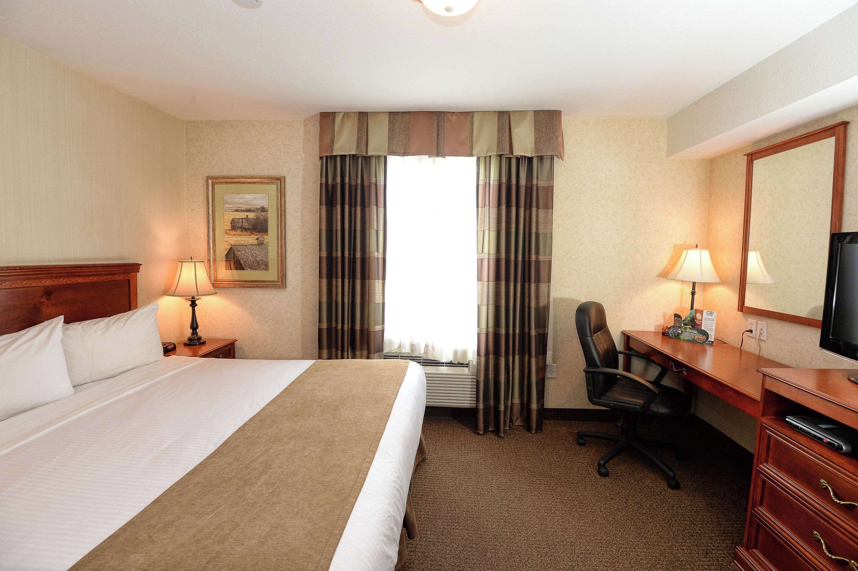 Premium bedding, in-room safe, desk, blackout curtains
