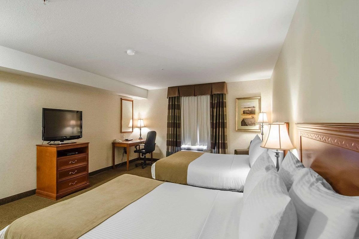 premium bedding, in-room safe, desk, blackout curtains