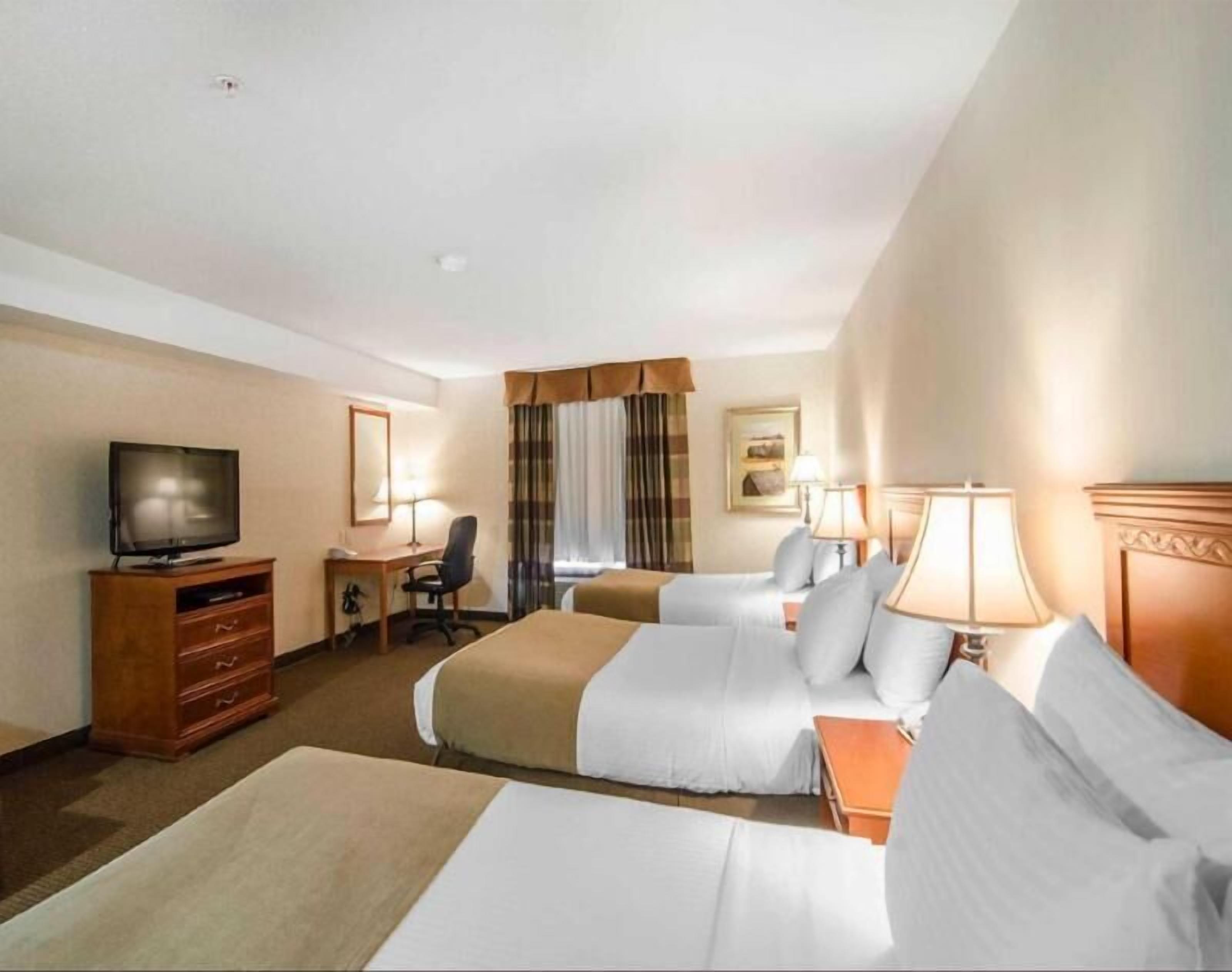 Premium bedding, in-room safe, desk, blackout drapes