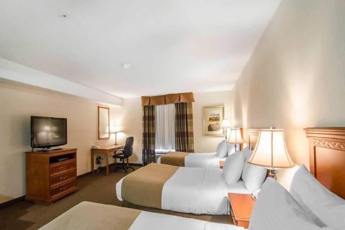 Premium bedding, in-room safe, desk, blackout drapes