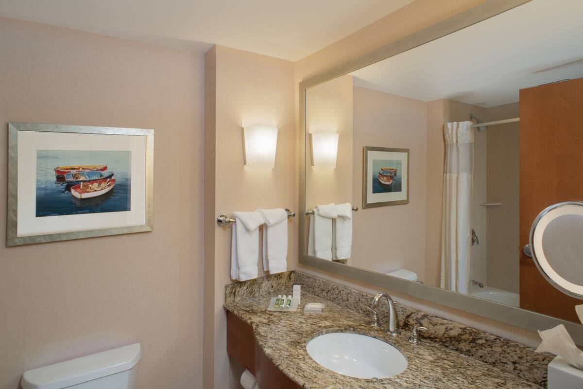 combined shower/bathtub, free toiletries, hair dryer, towels