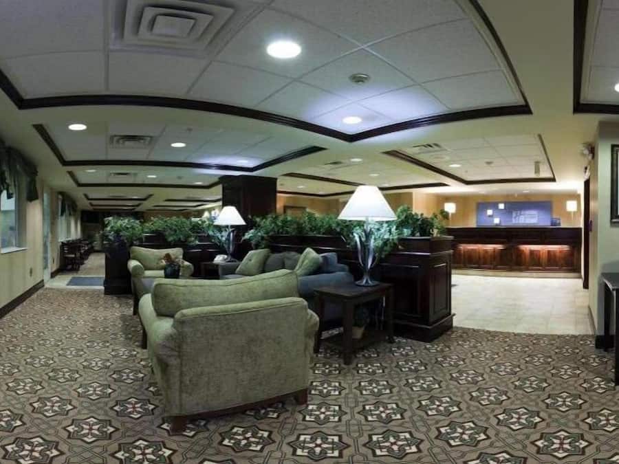 A hotel lobby with a patterned carpet, seating area with sofas, a reception desk, and potted plants.