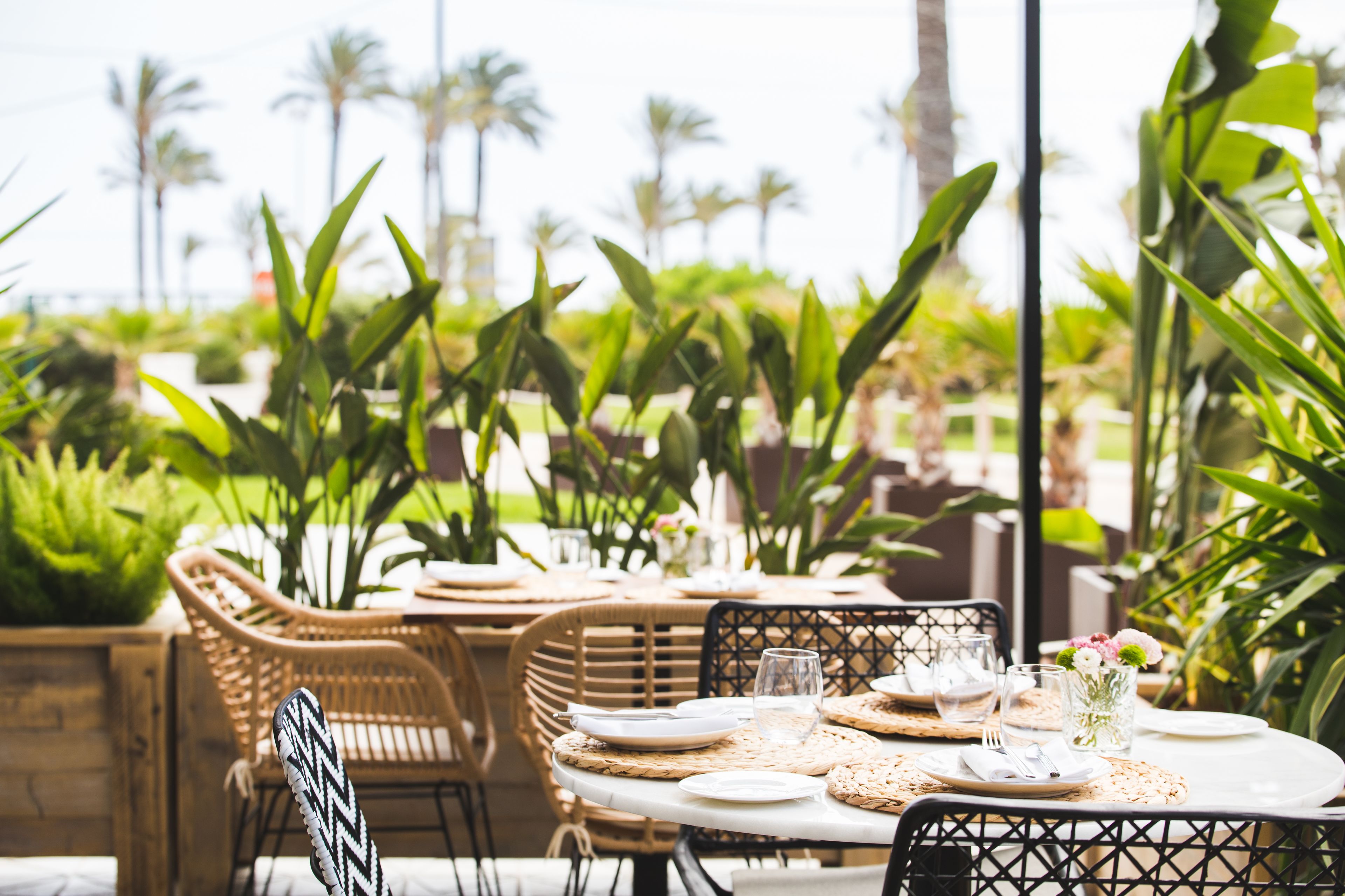 A dining area with wicker chairs and tables, set against a backdrop of greenery and palm trees.