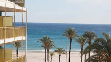 Vista desde la propiedad