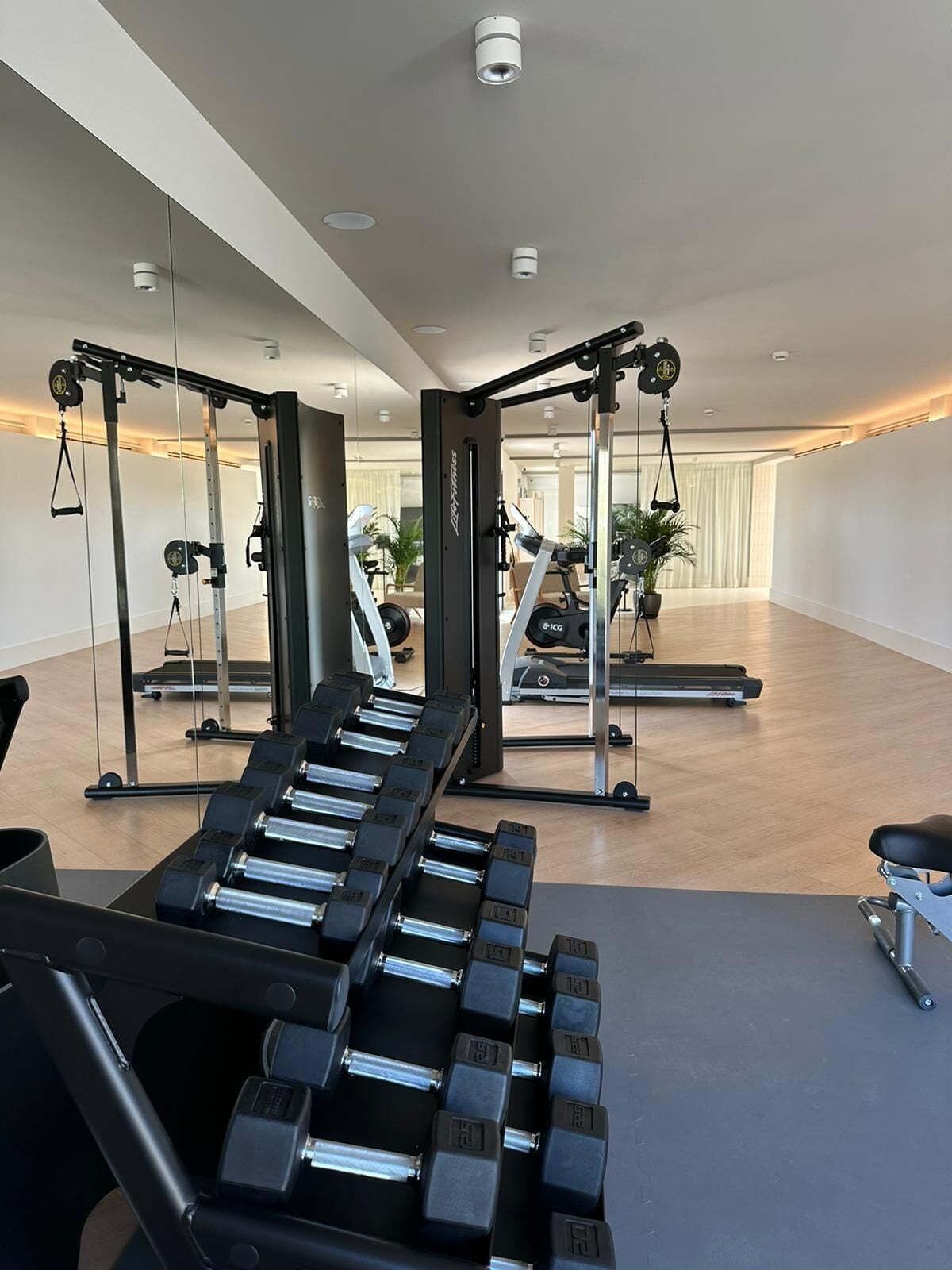 Ett gym med utrustning för styrketräning, löpband och träningsmaskiner.