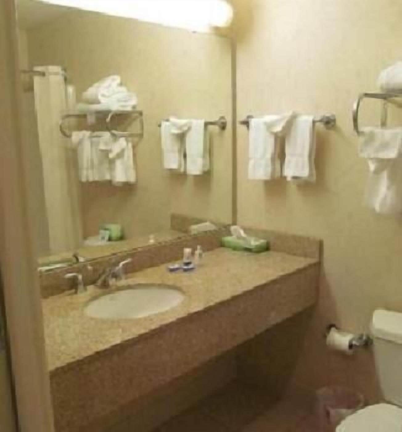 A bathroom with two sinks, a mirror, and a toilet.