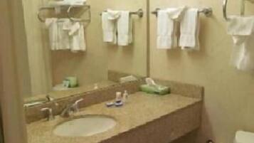 A bathroom with two sinks, a mirror, and a toilet.