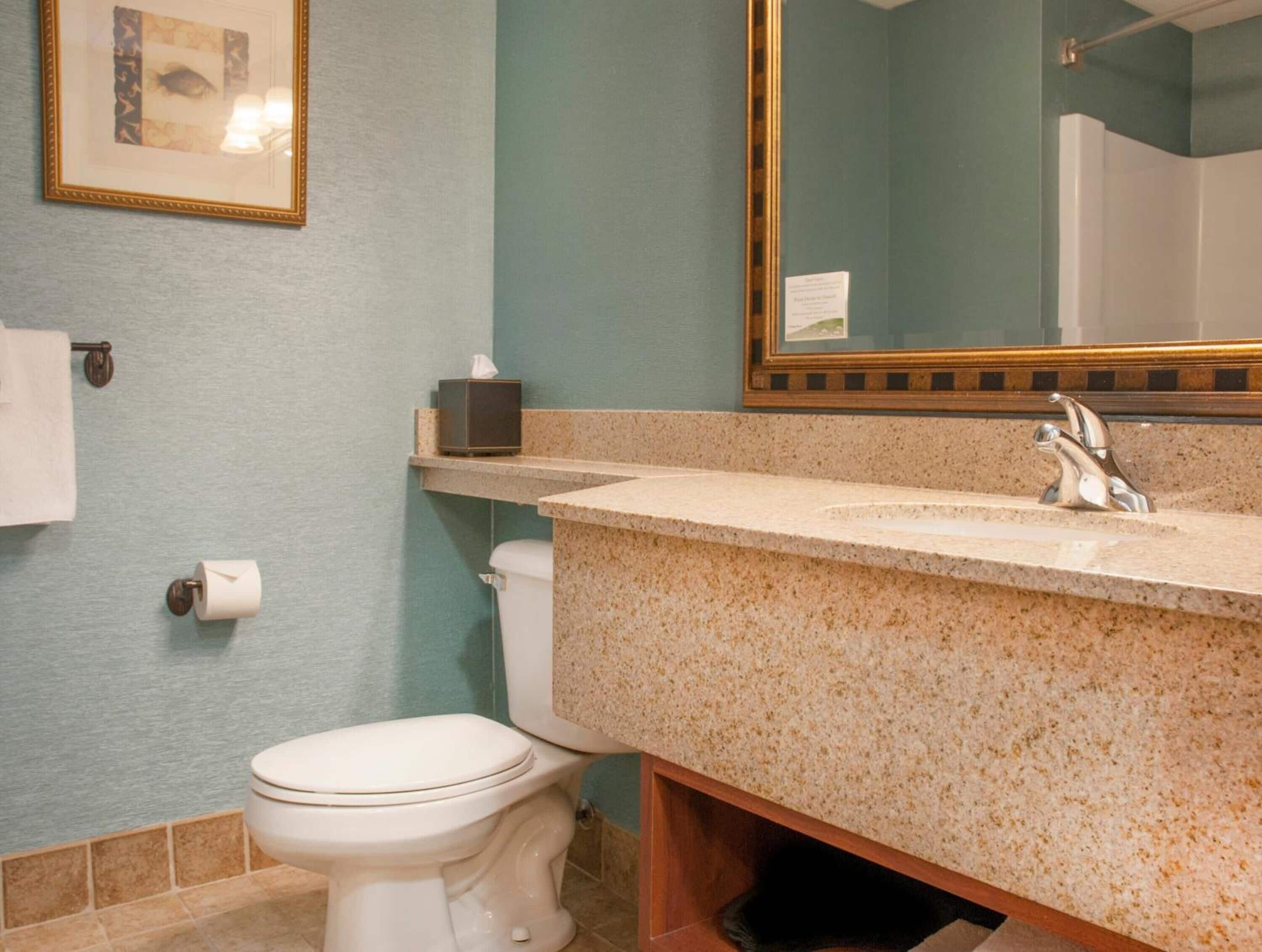 Un bagno con il water, un lavandino e uno specchio.