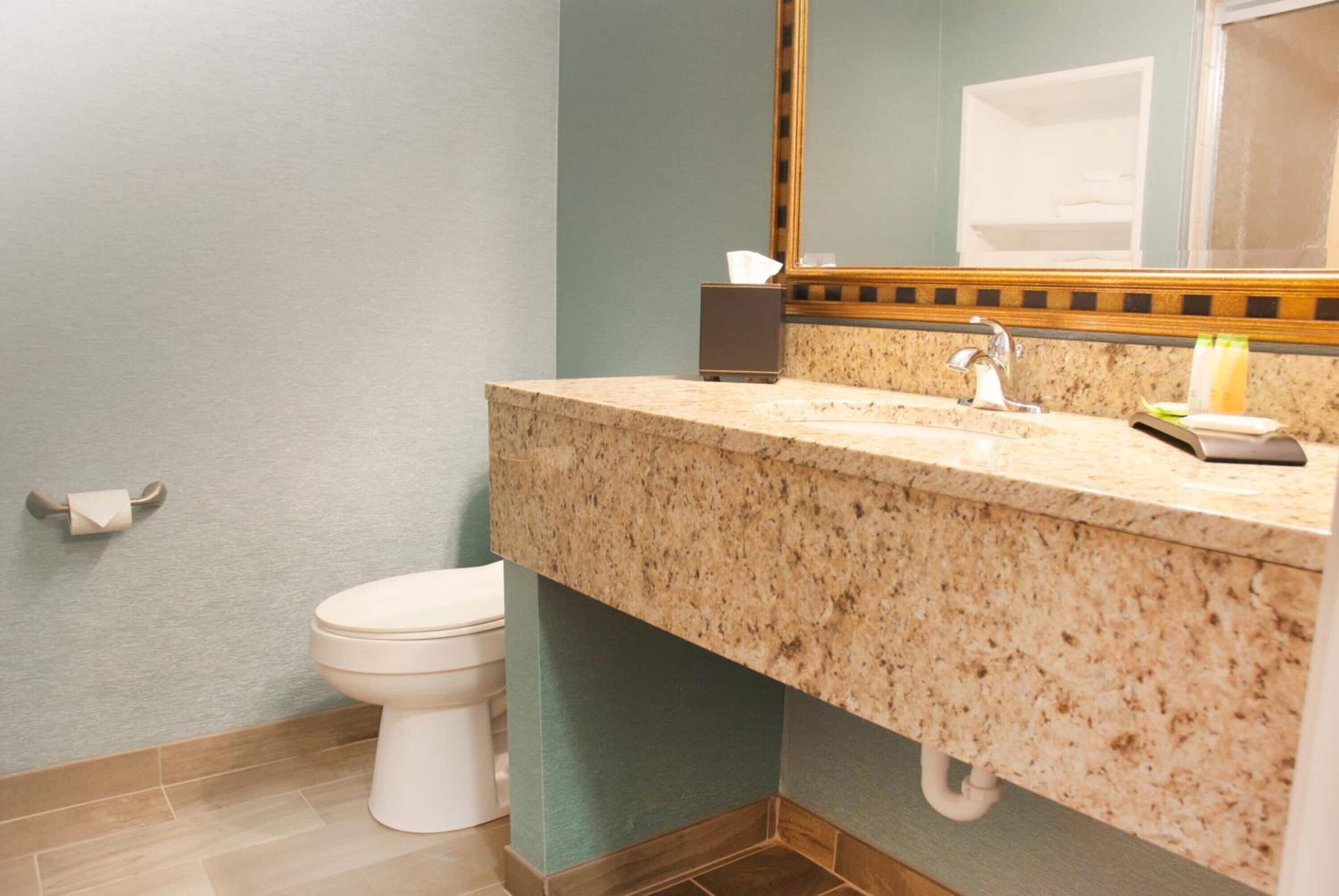 A bathroom with a granite countertop, a white toilet, and a mirror with a wooden frame.