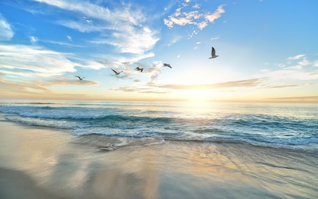 A beach with waves and birds flying.
