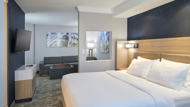 Habitación de hotel con una cama grande, un televisor de pantalla plana en la pared, un sofá, un escritorio con lámpara y obras de arte en las paredes.
