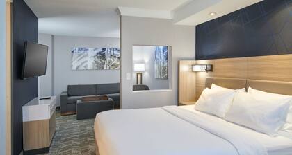 SpringHill Suites Detroit Southfield