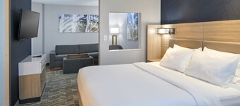 SpringHill Suites Detroit Southfield