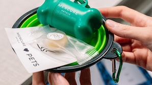 Ett grönt resefodral med handtag, innehållande en vit artikel märkt med texten "MERCURE HOTELS PETS".
