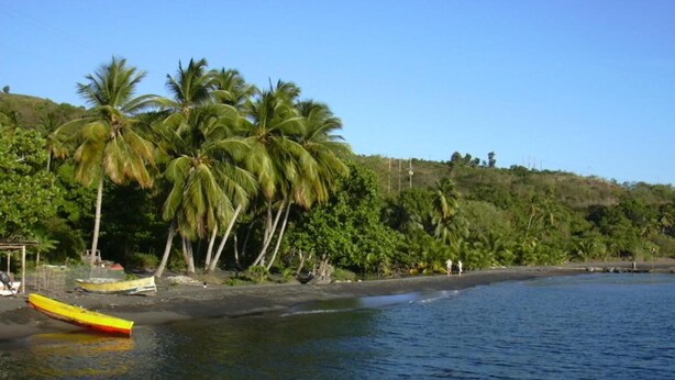 A beach with a yellow boat, palm trees, and a clear sky. - Tamarind Tree Hotel and Restaurant (Salisbury)