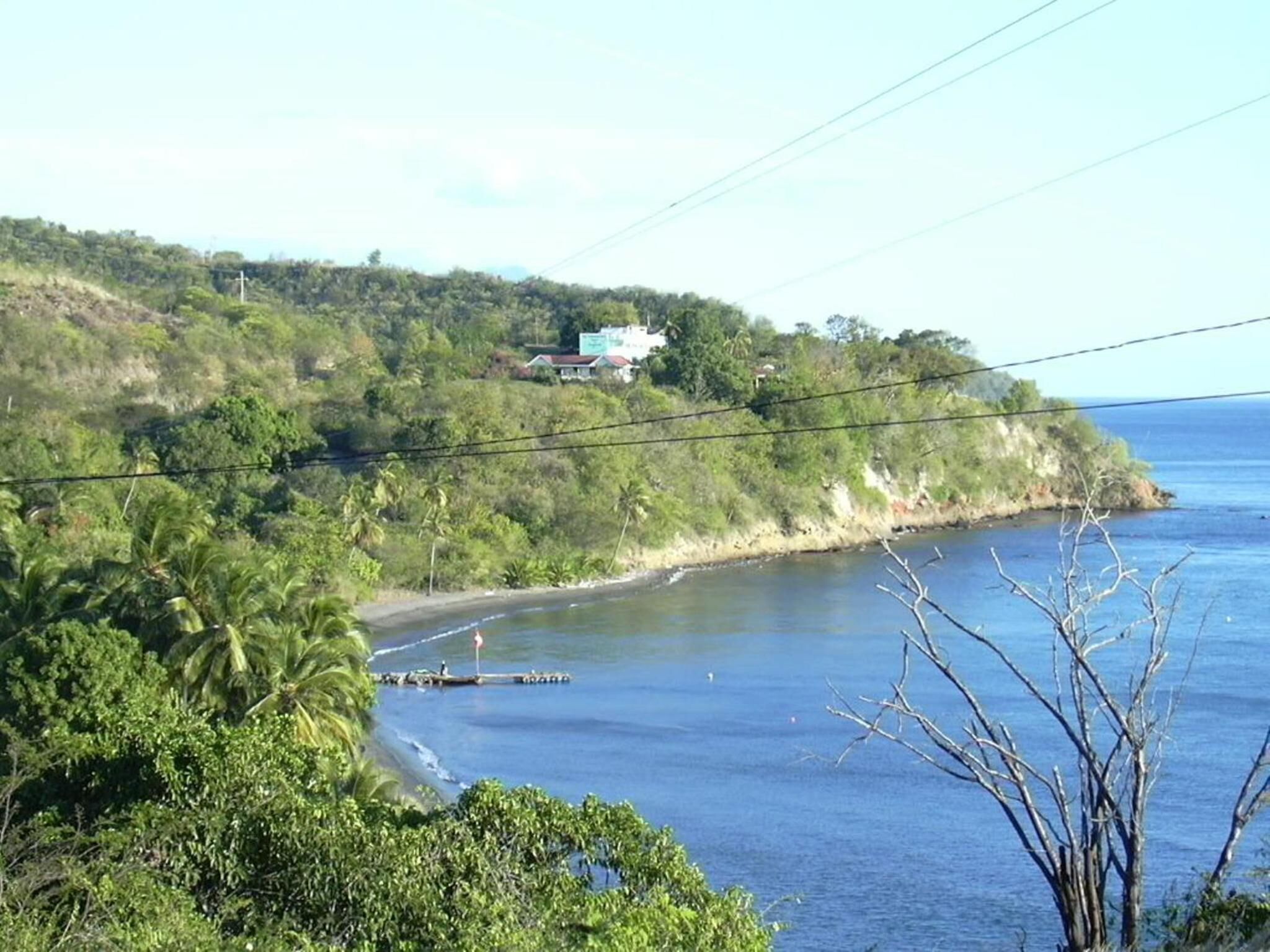 Photo - Tamarind Tree Hotel and Restaurant