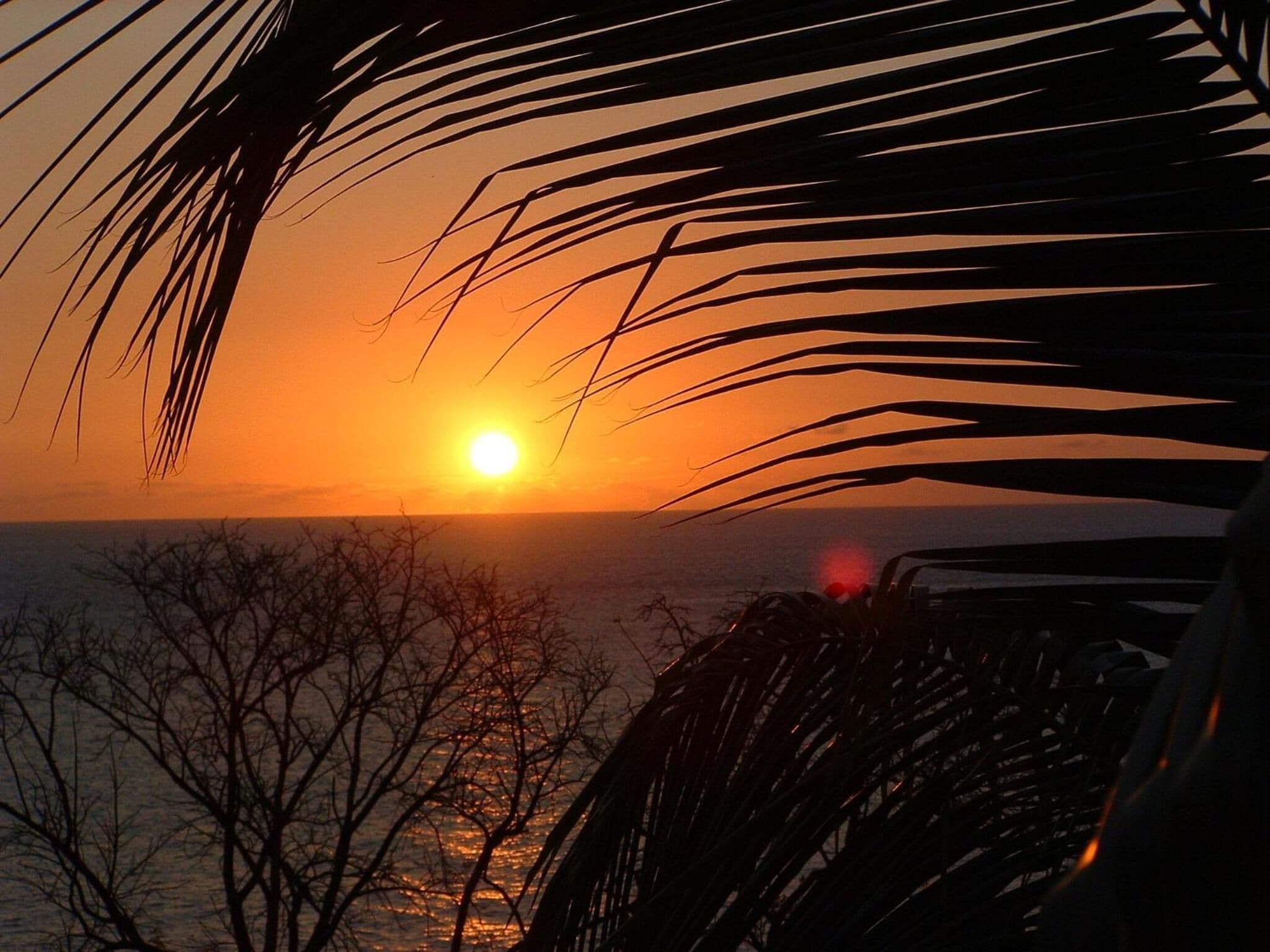 Photo - Tamarind Tree Hotel and Restaurant