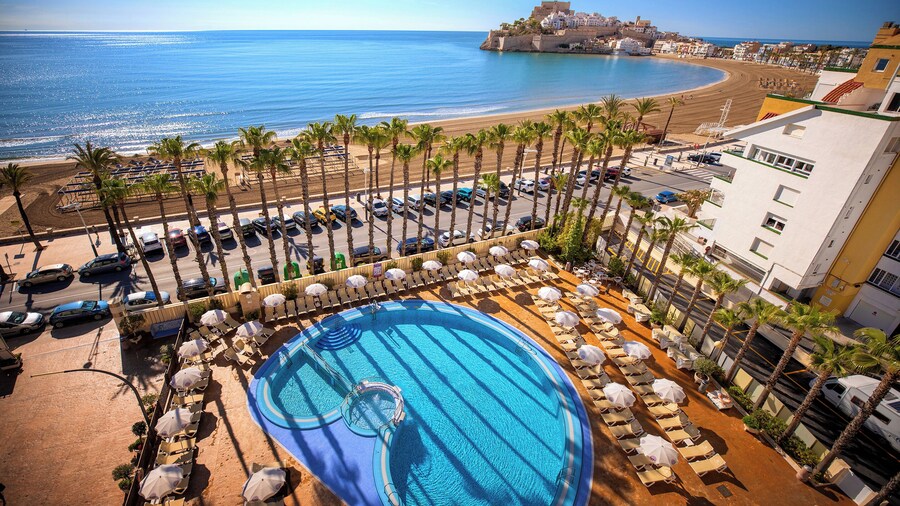 Servigroup Papa Luna