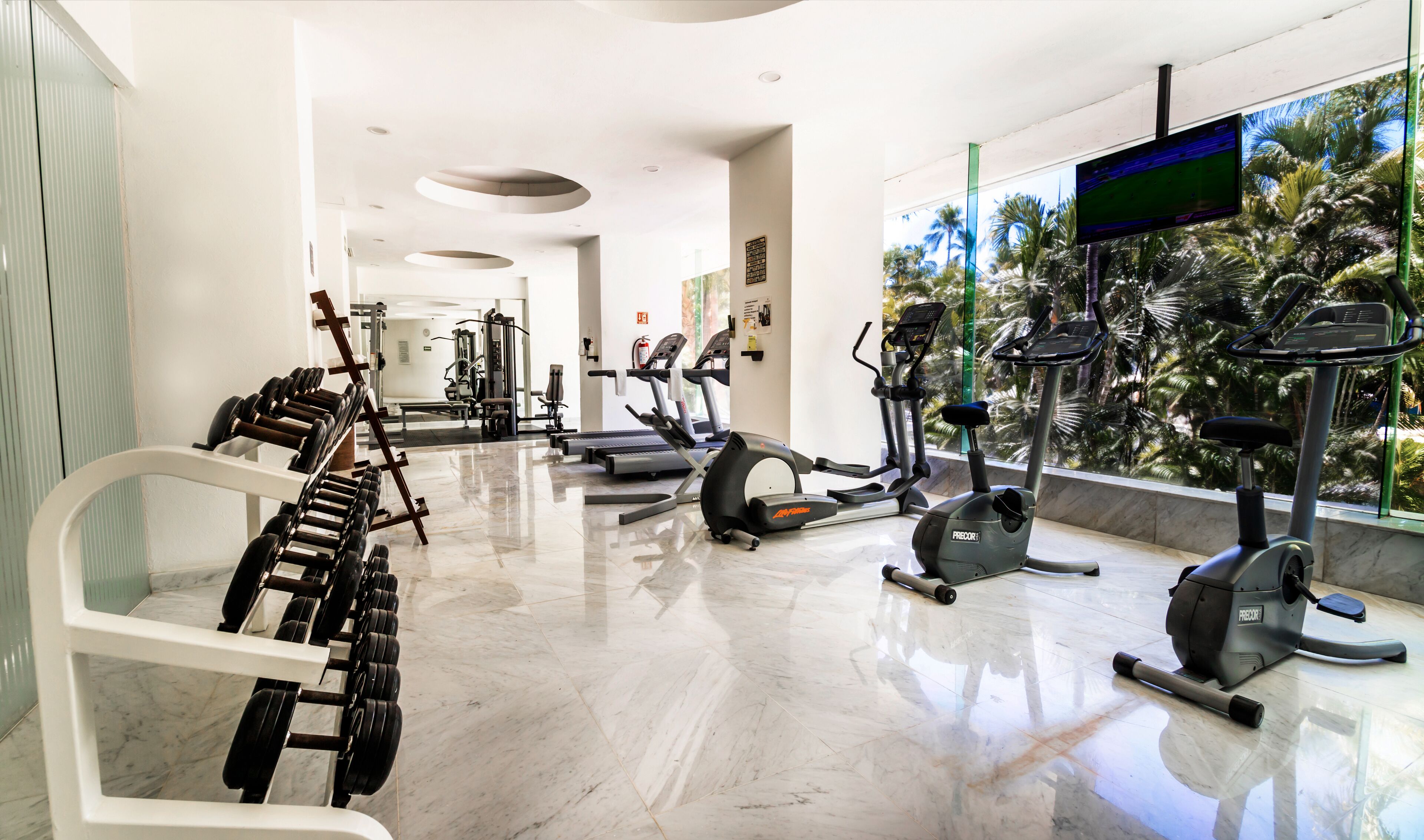 A modern gym with various exercise equipment, a large TV screen, and a view of palm trees through the window.