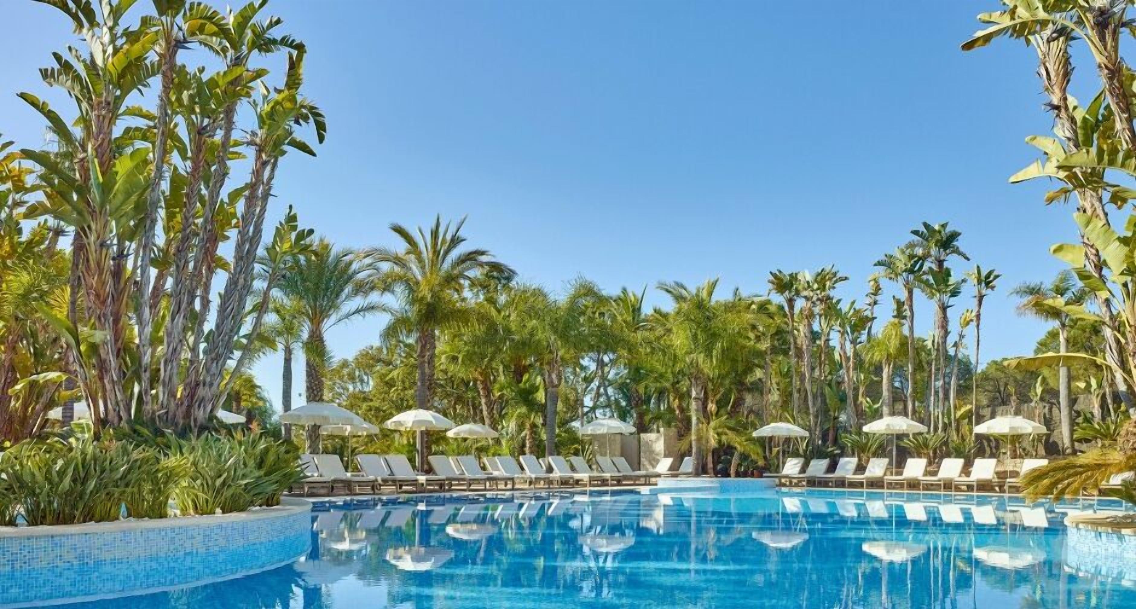 A pool area with lounge chairs and umbrellas, surrounded by palm trees.