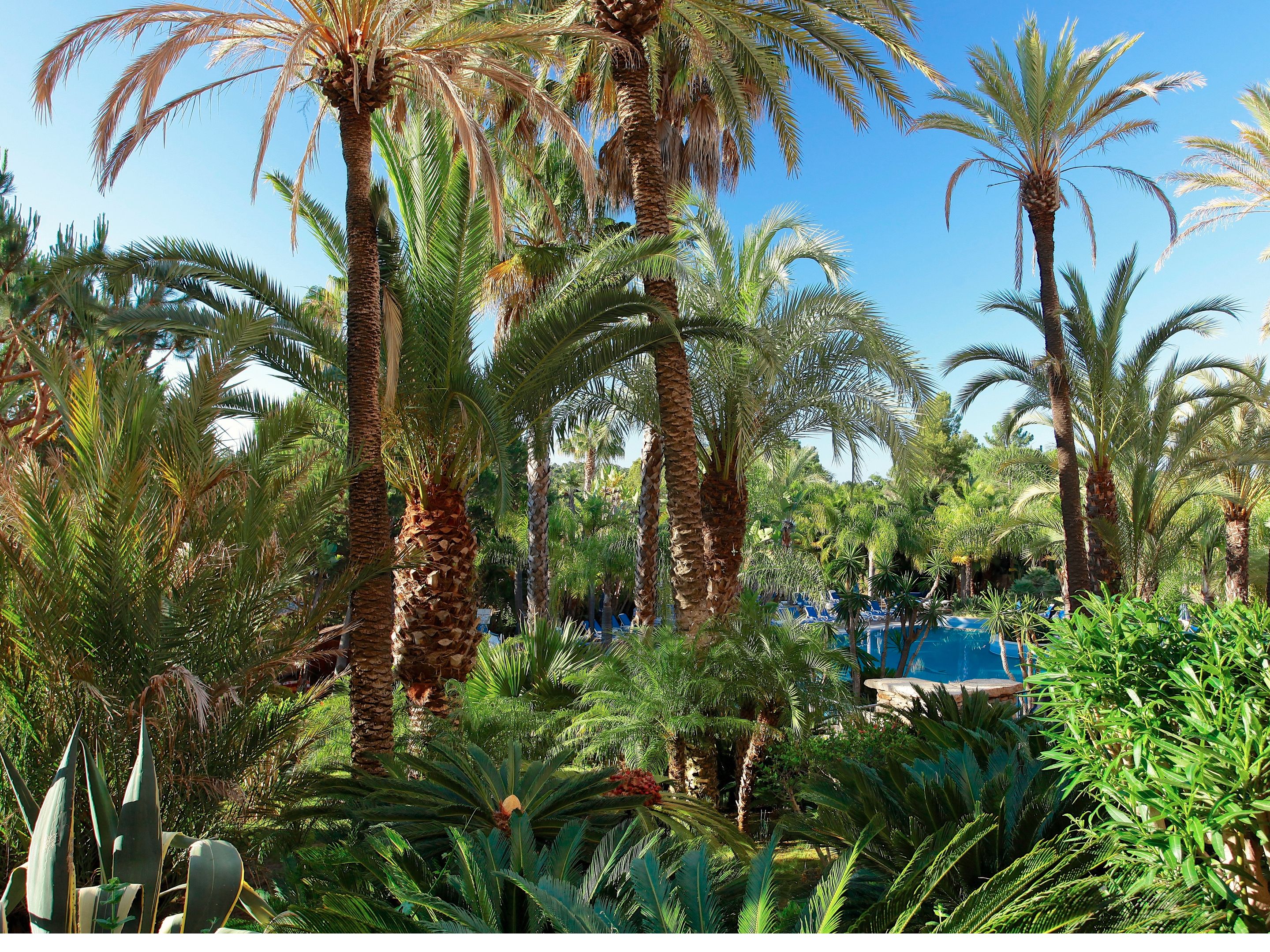 Ria Park Hotel & Spa - Algarve : prix et avis | Hotels.com