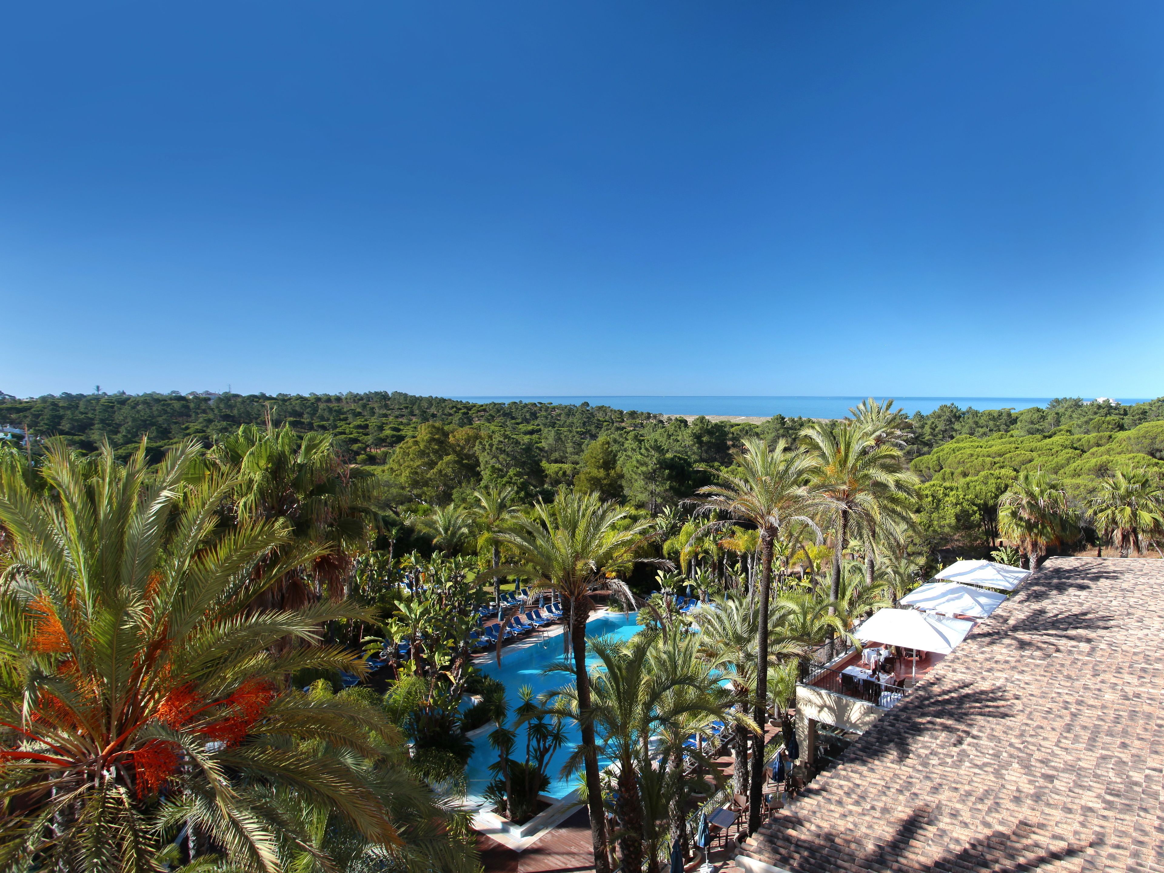 A resort with a pool surrounded by palm trees and a beach area with lounge chairs.