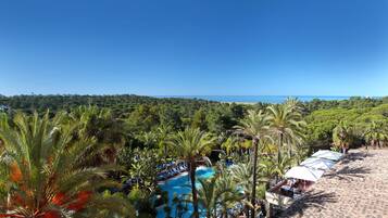 A resort with a pool surrounded by palm trees and a beach area with lounge chairs.