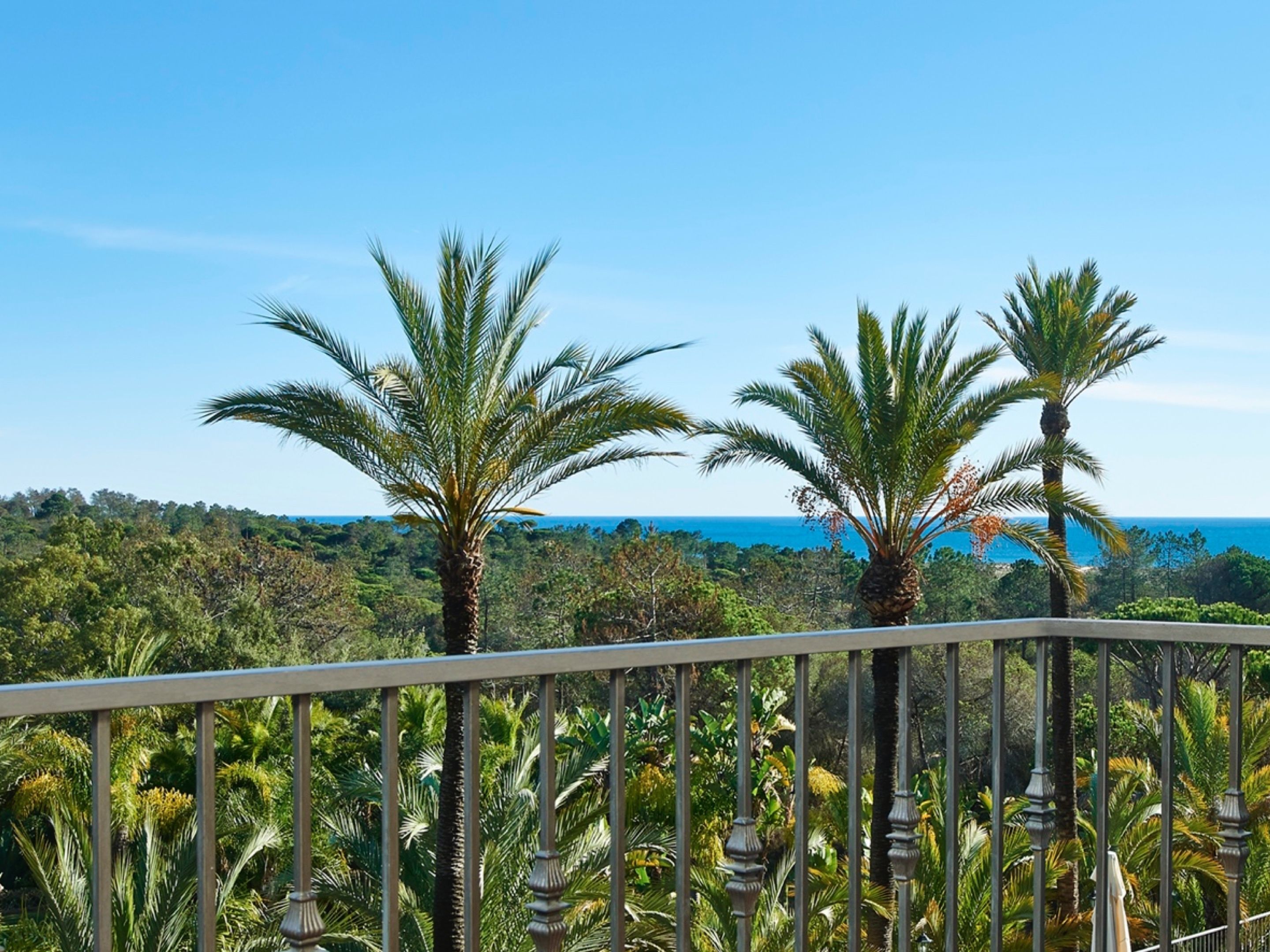 A balcony with a view of palm trees and a distant coastline.