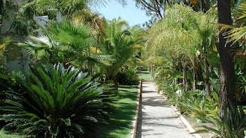 Jardin