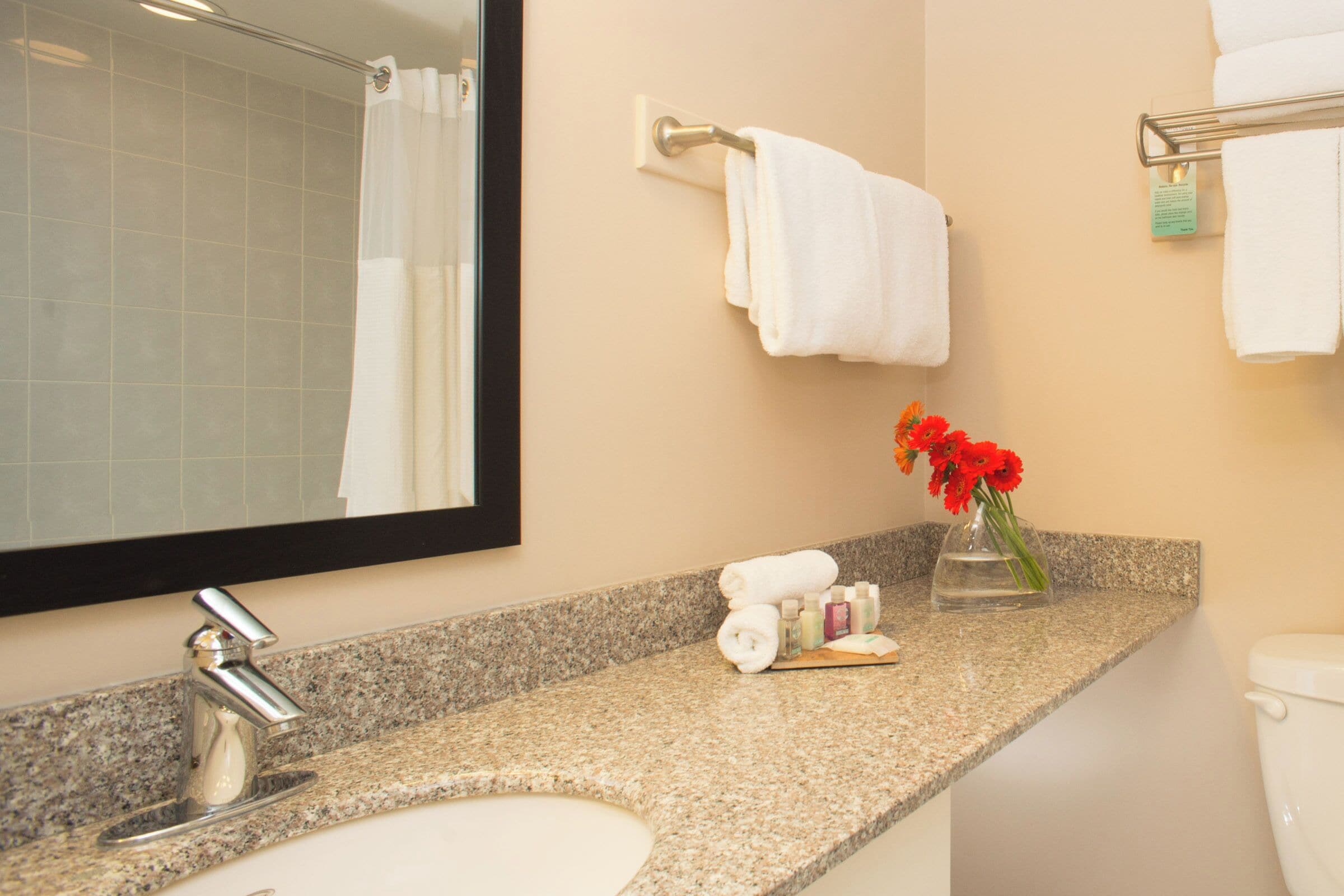 studio suite, 1 queen bed with sofa bed, kitchenette (premium studio full kitchen queen) | bathroom | combined shower/bathtub, designer toiletries, hair dryer, towels