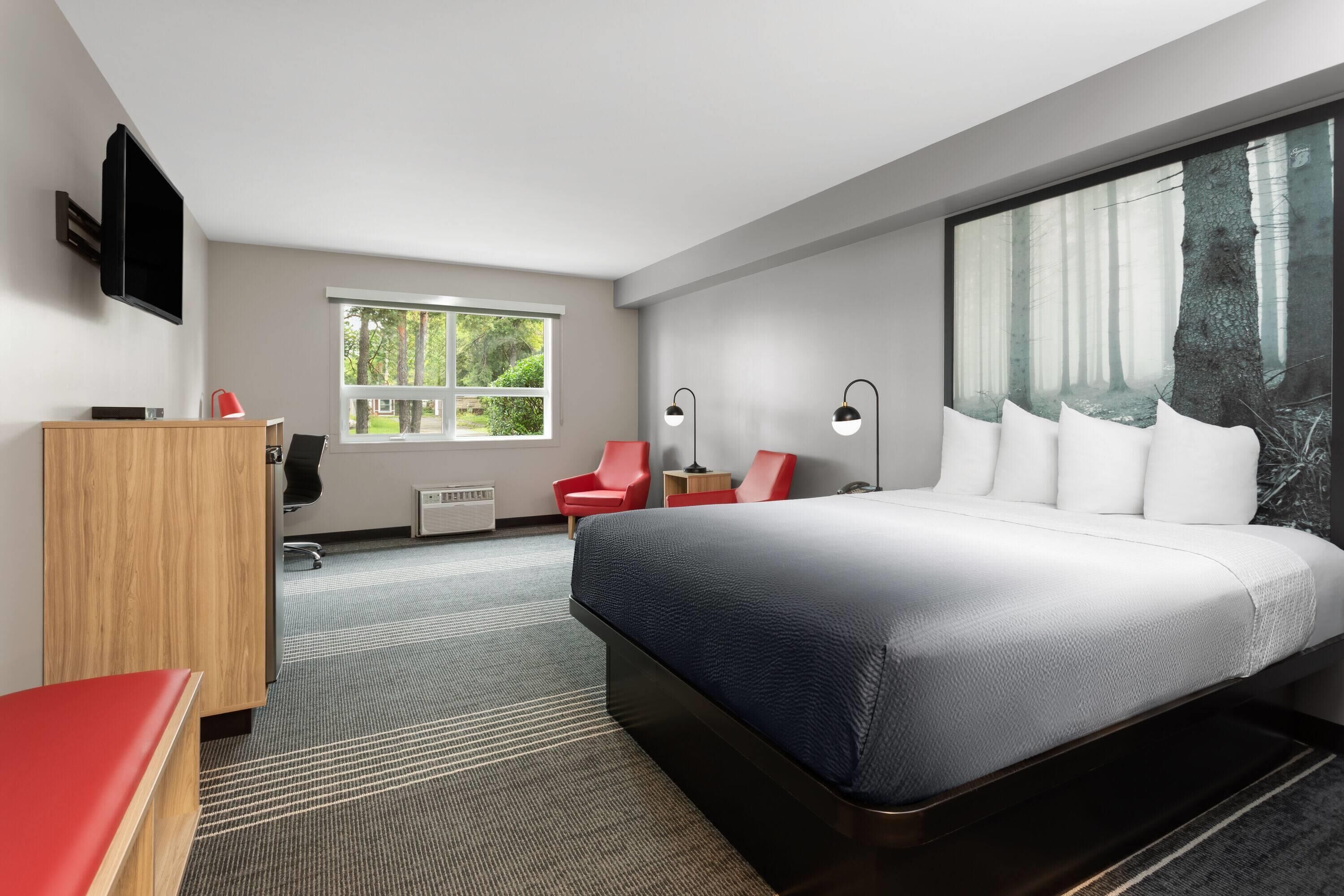 Room, 1 Queen Bed, Non Smoking