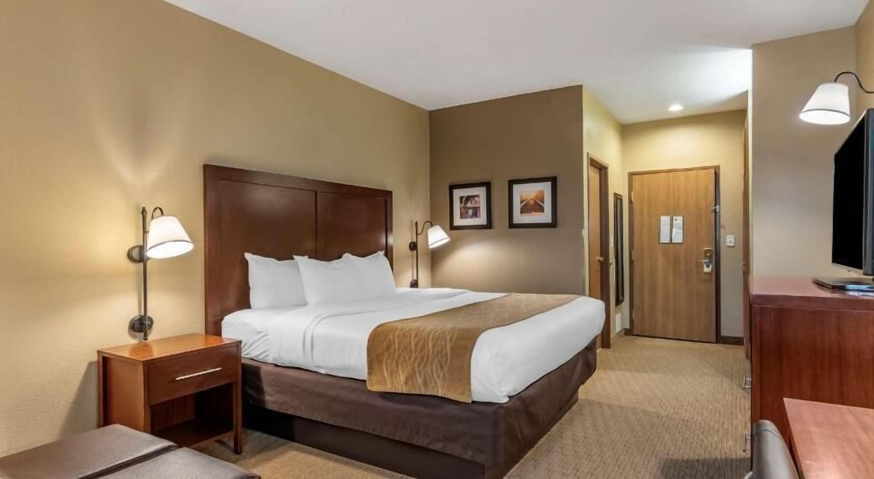 Premium bedding, iron/ironing board, free cribs/infant beds, free WiFi