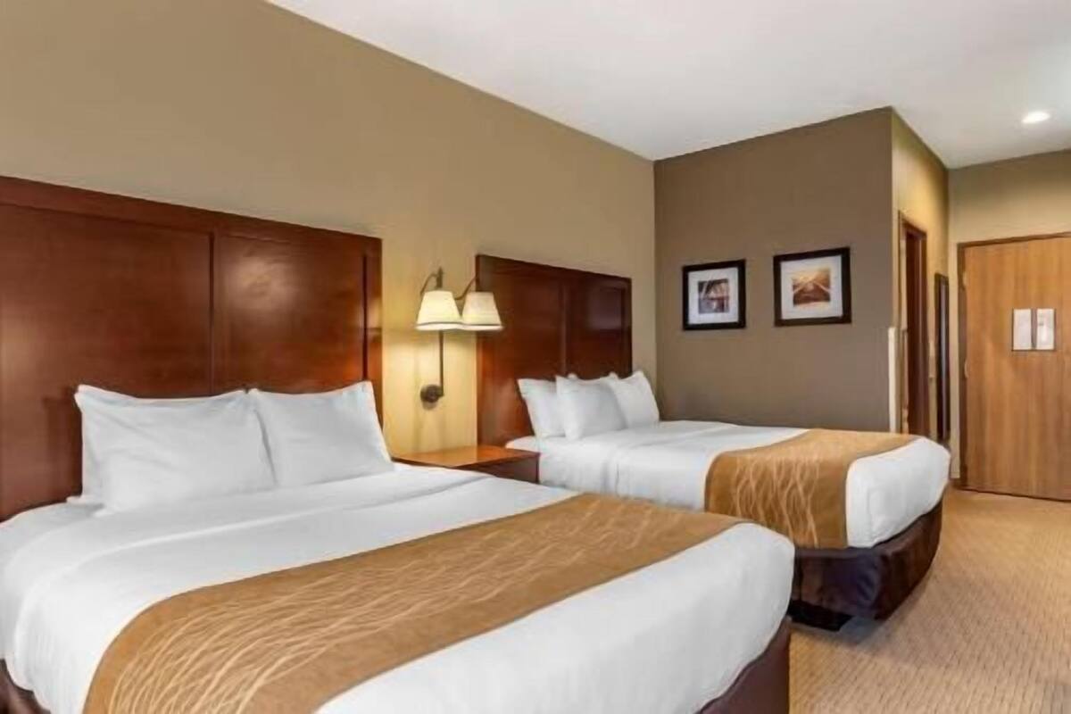 Premium bedding, iron/ironing board, free cots/infant beds, free WiFi
