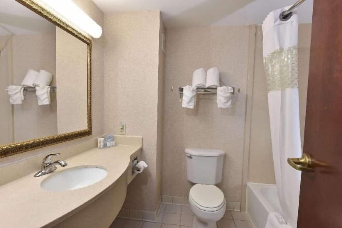 Bañera, secador de pelo, toallas