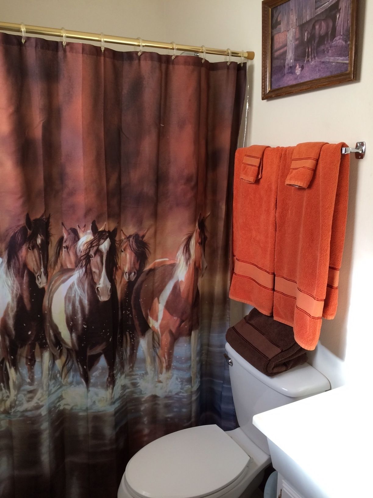 Ein Badezimmer mit einer Duschvorhang-Motiv von Pferden, einer Toilette und einem Handtuchhalter mit einem Handtuch.