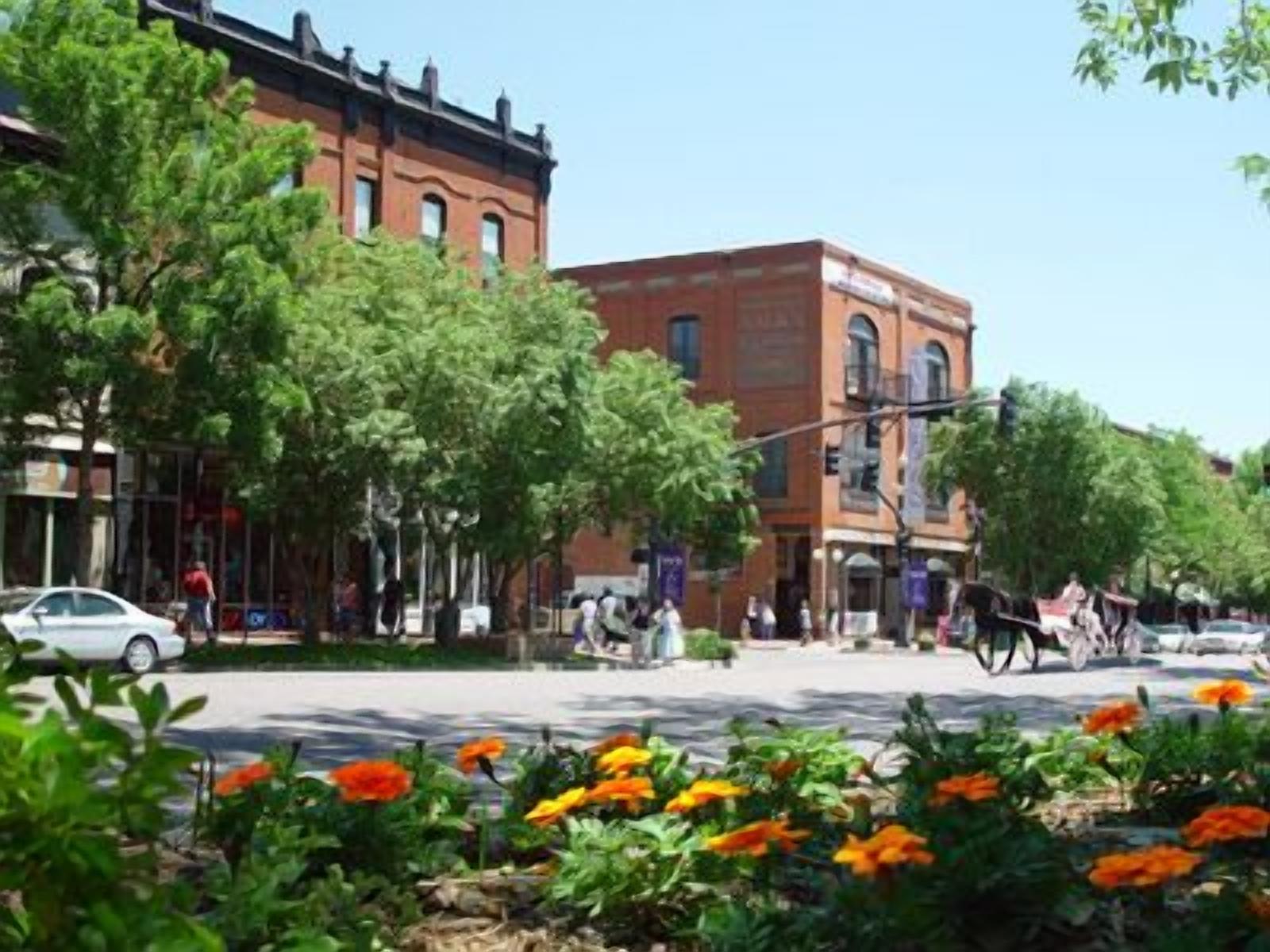 A street scene with buildings, trees, and a flower bed with orange flowers.