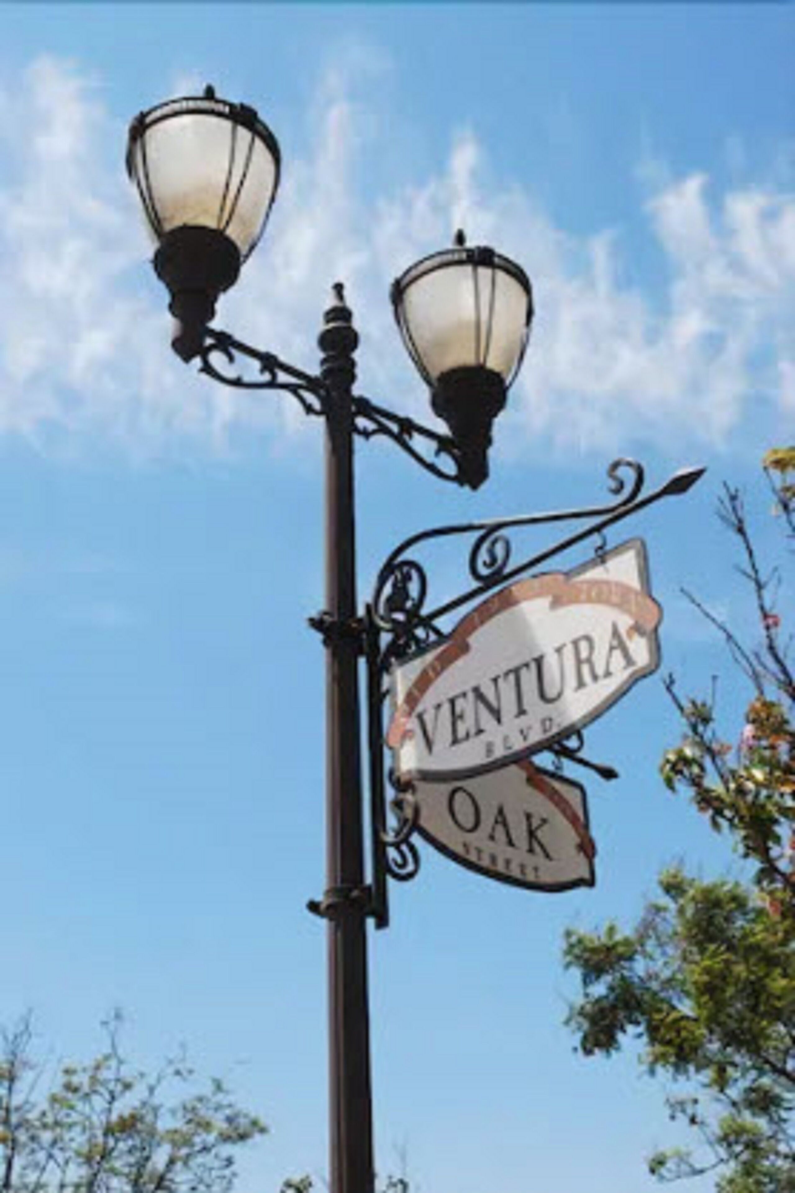 A street sign for Ventura Oak Street with two street lamps.
